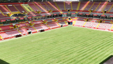 RHG Enertürk Enerji Stadyumu'ndaki çim serim işlemi tamamladı
