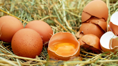 Tavuk yumurtası üretimi Mart'ta yıllık yüzde 3,6 artışla 1,79 milyar adete yükseldi