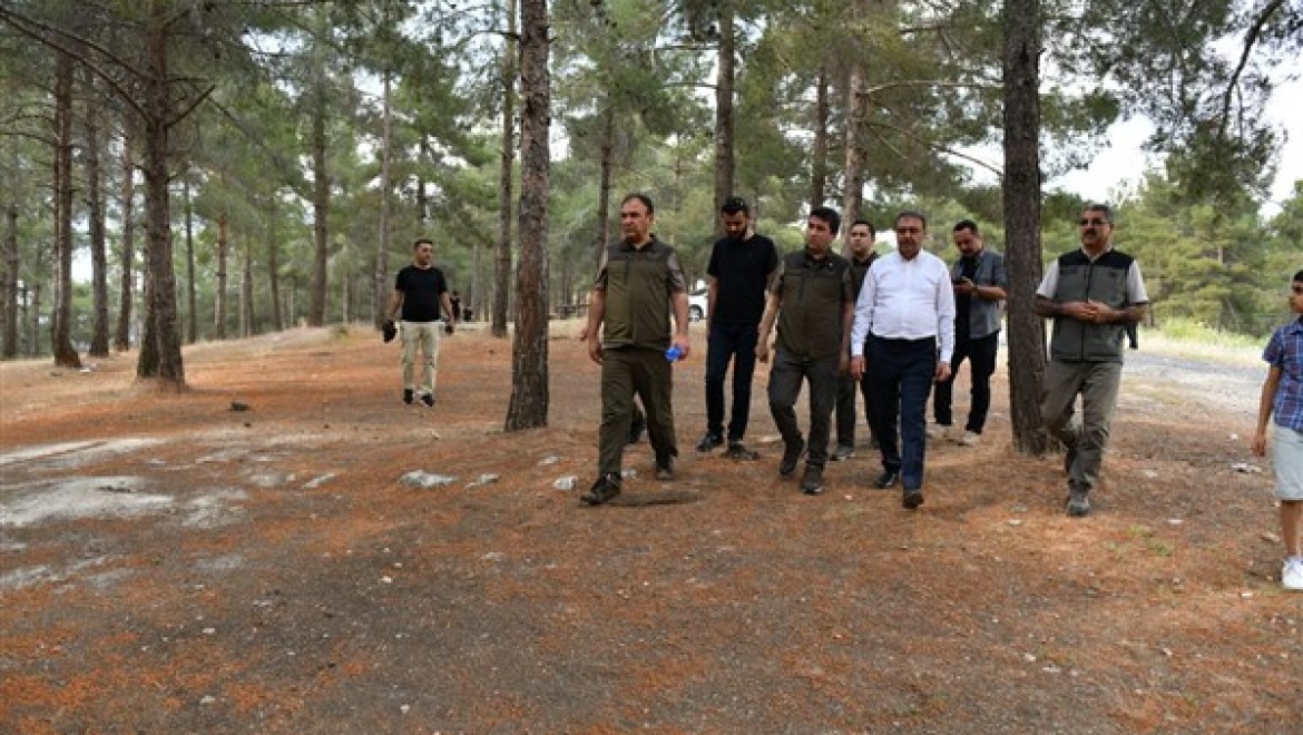 Şanlıurfa Valisi Şıldak, Atatürk Ormanını ziyaret etti
