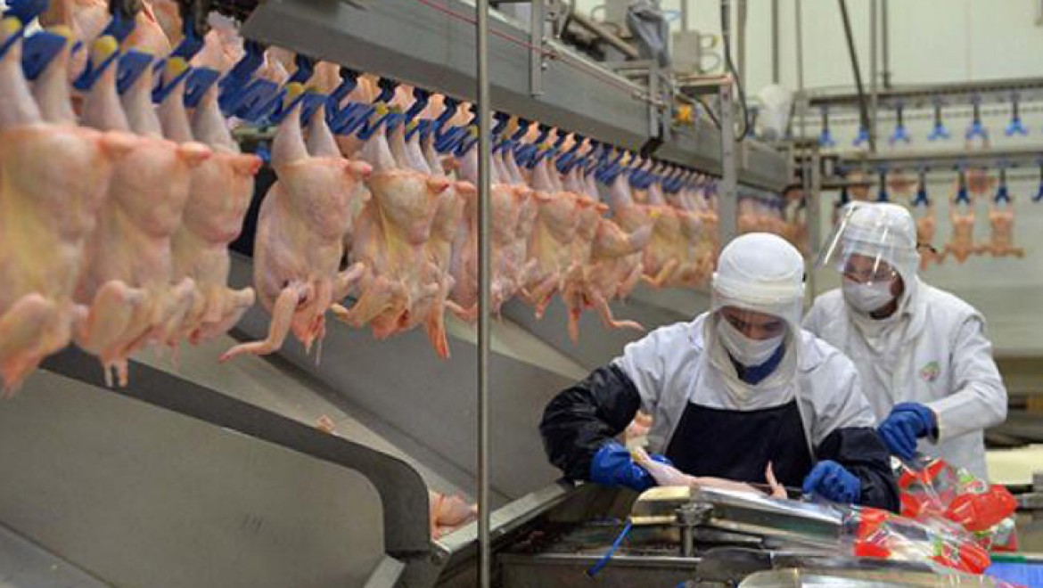 Ticaret Bakanlığı'ndan tavuk eti ihracatına sınırlama