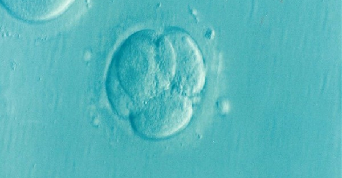 Alabama Yüksek Mahkemesi: Embriyo çocuk kabul edilmeli