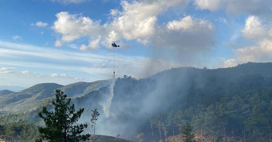Edremit'te orman yangını