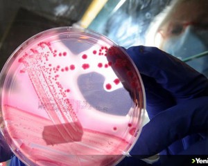 Bakterilerin antibiyotik direncini kırmanın yolu bulundu