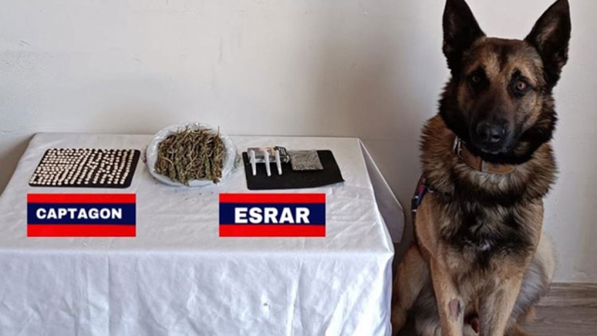 Bolu'da yolcunun şapkasına sakladığı uyuşturucu "Asır"ın hassas burnundan kaçmadı