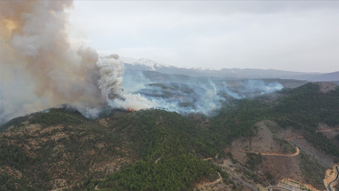 Bursa'da ormanlık alandaki yangına müdahale sürüyor