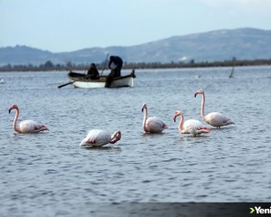 Yağmurlar, kuraklığın etkilediği Bafa Gölü'ne yaradı