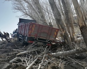 Ağrı'da kamyon şarampole yuvarlandı, 2'si çocuk 5 kişi hayatını kaybetti