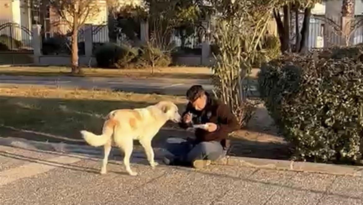 Deprem bölgesinde görevli polis, kumanyasını sokak köpeğiyle paylaştı