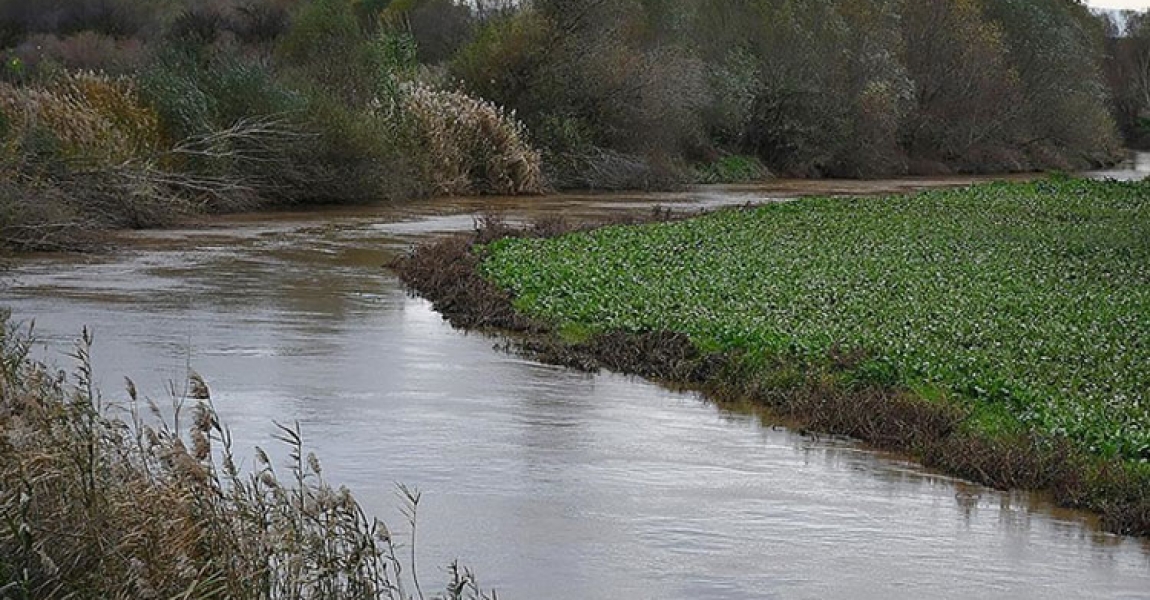 Kuraklıktan etkilenen Gediz Nehri'nin debisi yağışlarla yükseldi