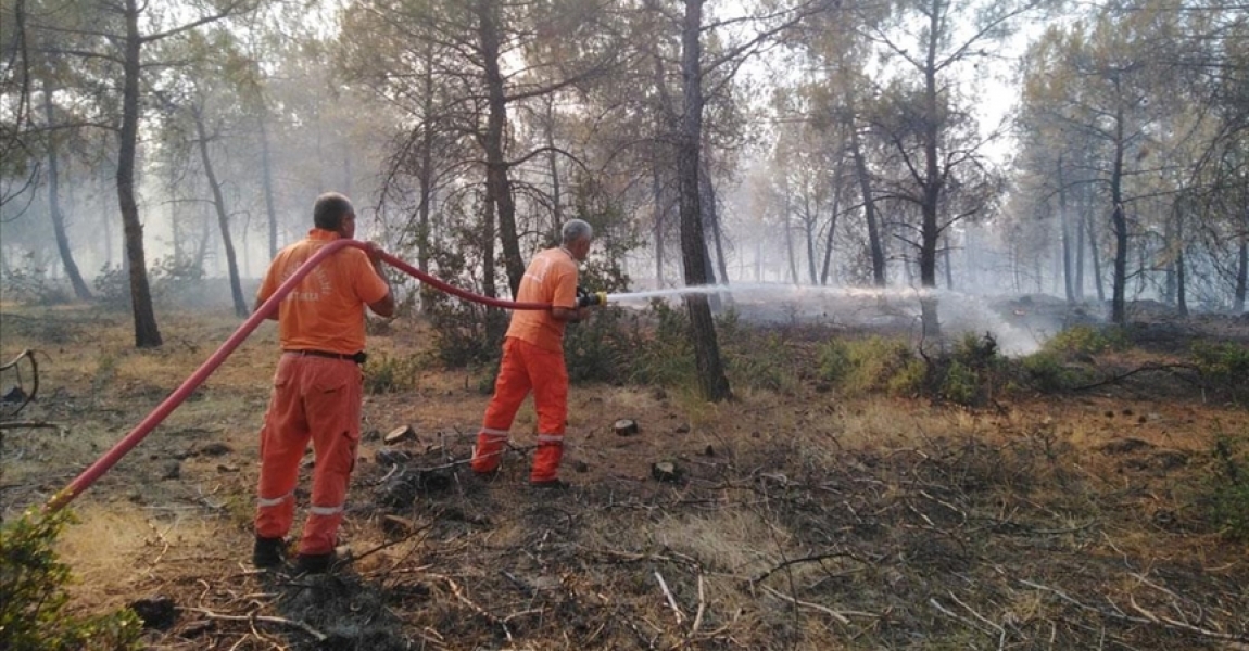 Kilis'te orman yangınına müdahale ediliyor