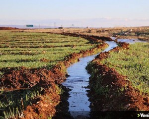 Şanlıurfa'da kuraklık tehlikesi çiftçileri endişelendiriyor