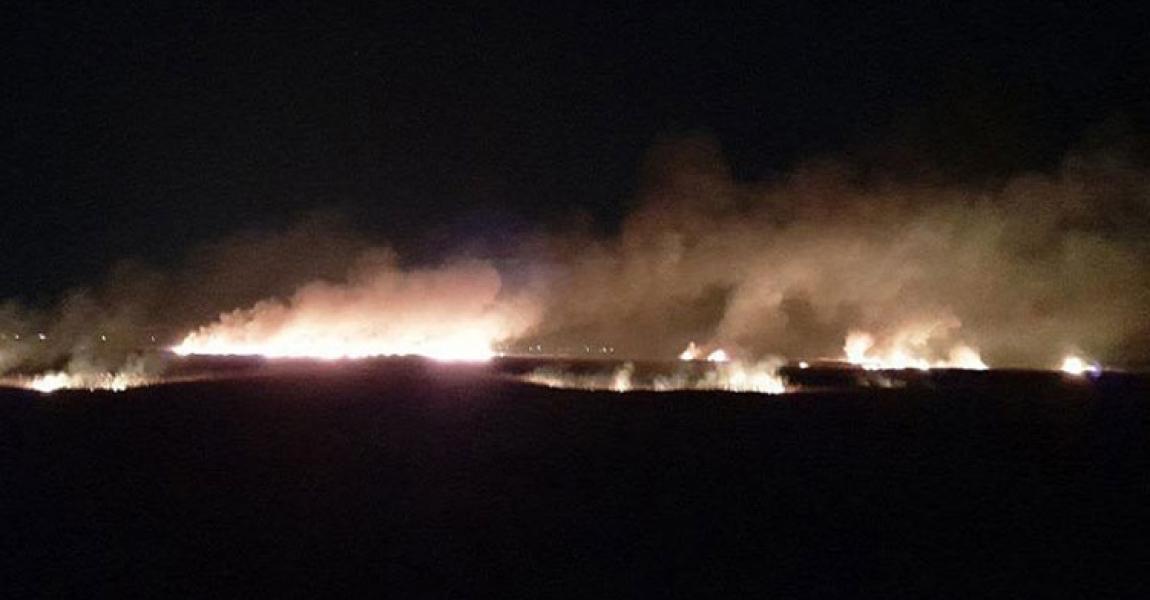 Mersin'de Göksu Deltası'nda çıkan yangın kontrol altına alındı