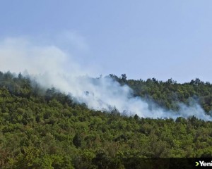 Balıkesir'de ormanlık alanda yangın