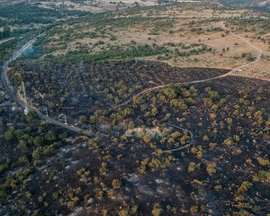 Balıkesir'in Savaştepe ilçesindeki orman yangını kontrol altına alındı