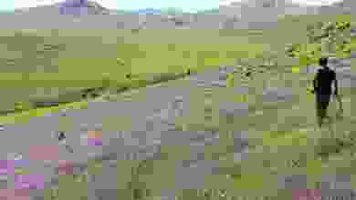 Bayburt'un zirvelerinde endemik bitkilerin izini sürüyor