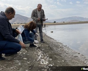 Keban Baraj gölündeki balık ölümleriyle ilgili inceleme başlatıldı