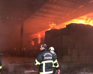 Şanlıurfa'da tekstil fabrikasında yangın çıktı