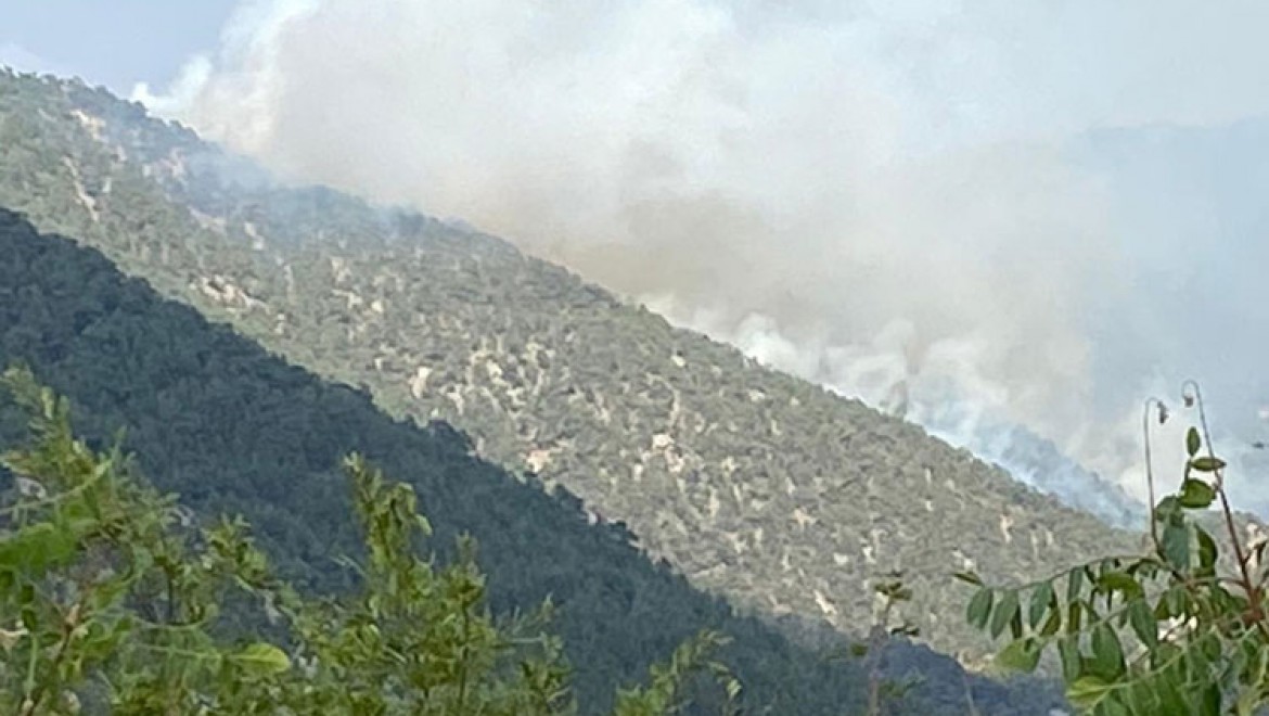 Bolu'da yıldırım düşmesi sonucu çıkan orman yangınına müdahale ediliyor