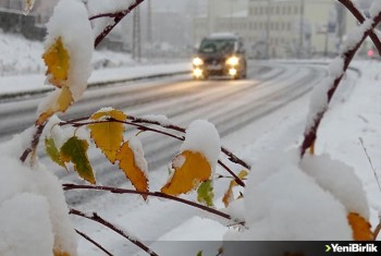 Erzurum'da etkili olan kar ve soğuk hava "kara kış"ı aratmıyor