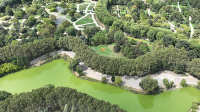 Bursa'da parklar yaz aylarına hazır hale getiriliyor