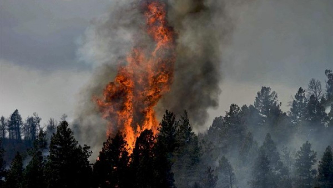 Denizli ve Balıkesir'de orman yangını