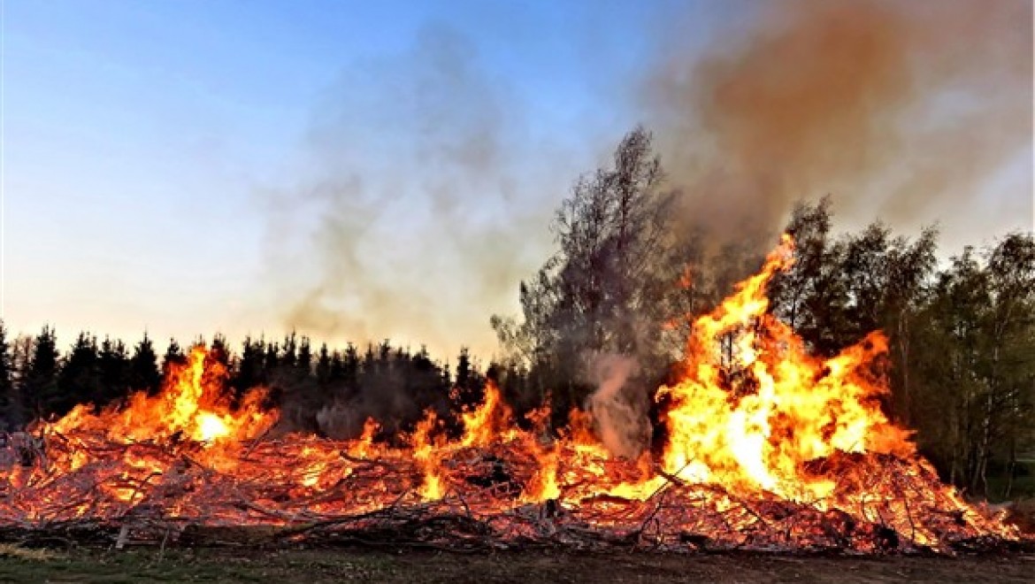 Çanakkale ve Mersin'deki orman yangınları kontrol altına alındı