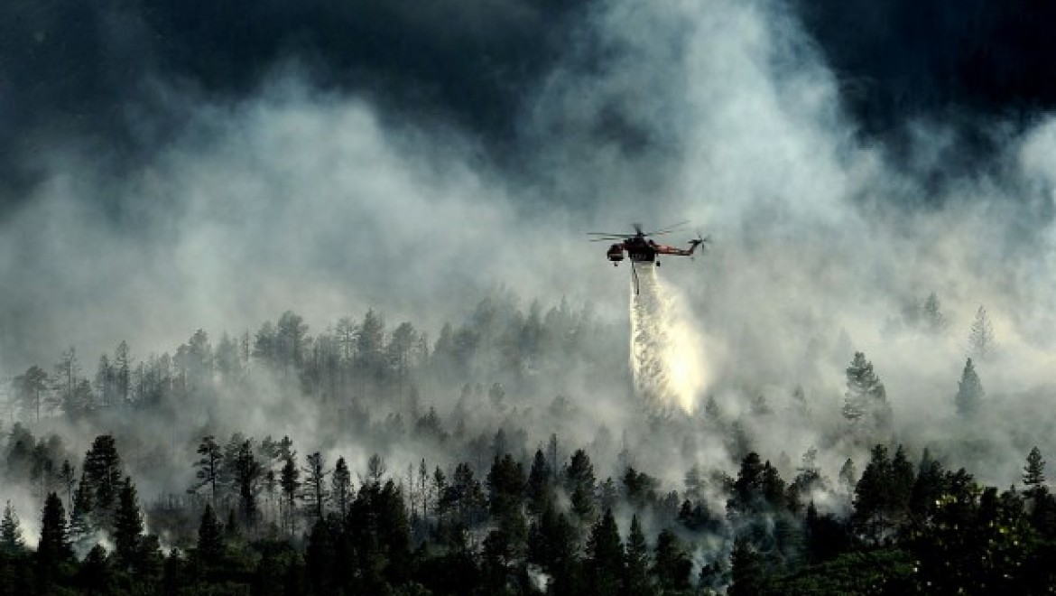 Muğla ve Antalya'daki orman yangınları kontrol altına alındı