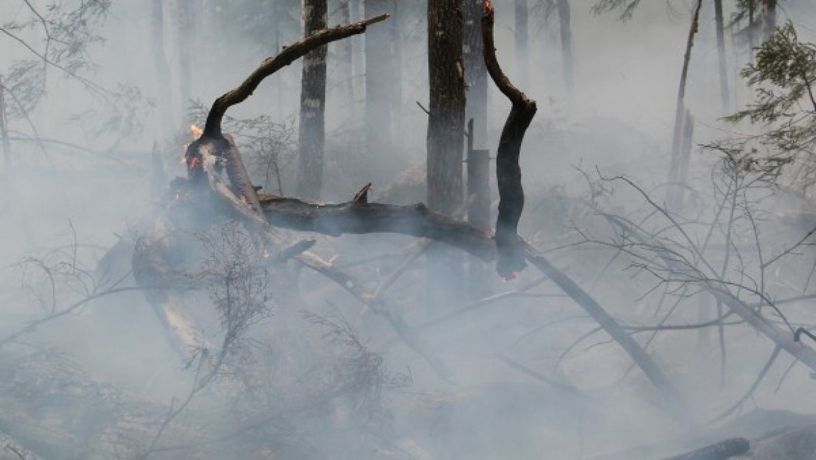 AKUT Çanakkale ekibi Assos orman yangınına müdahale çalışmalarına katıldı