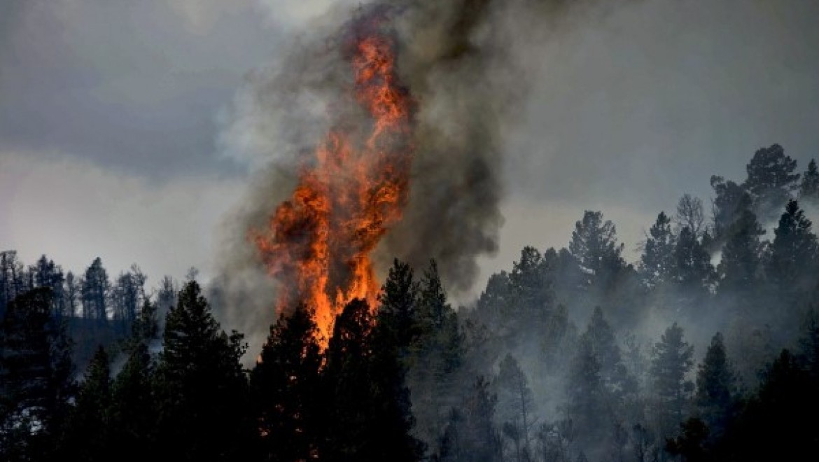 Behramkale'de meydana gelen orman yangınına müdahale sürüyor