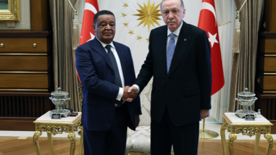 Cumhurbaşkanı Erdoğan,  eski Etiyopya Cumhurbaşkanı Wirtu ile bir araya geldi