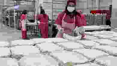 Kırşehir'de yufka üretilen işletmede 40 kadın istihdam ediliyor