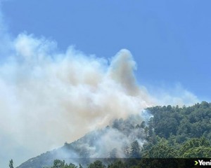 Balıkesir İvrindi'de orman yangını çıktı