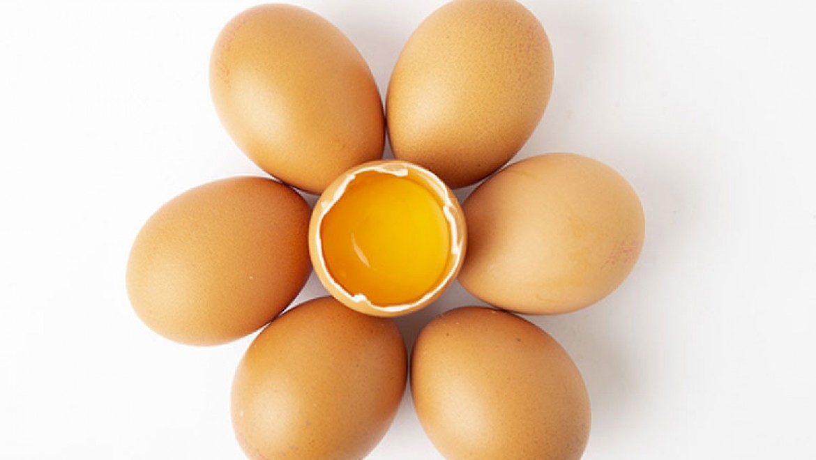 Kuş gribi salgını ABD'de yumurta fiyatlarını uçurdu