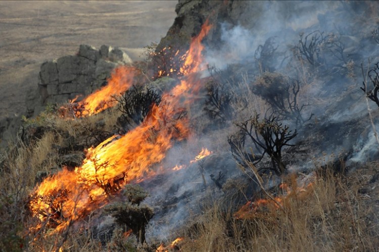 Bayburt'ta dağlık alanda çıkan örtü yangınına müdahale ediliyor