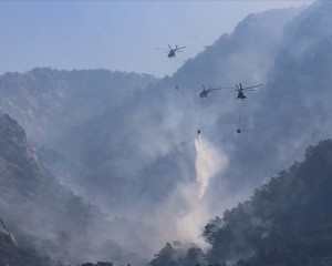 Muğla Valiliği orman yangını riski nedeniyle vatandaşları uyardı