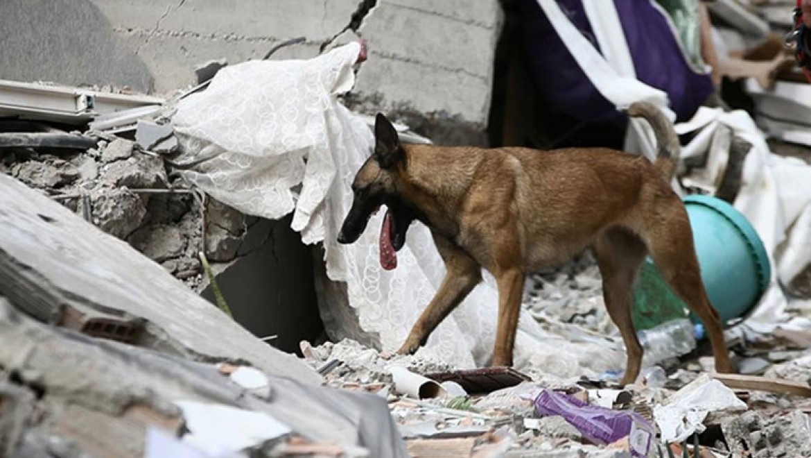 Jeofizik uzmanı Profesör Mai, Kahramanmaraş merkezli depremleri "çok sıra dışı bir durum" olarak nitelendirdi