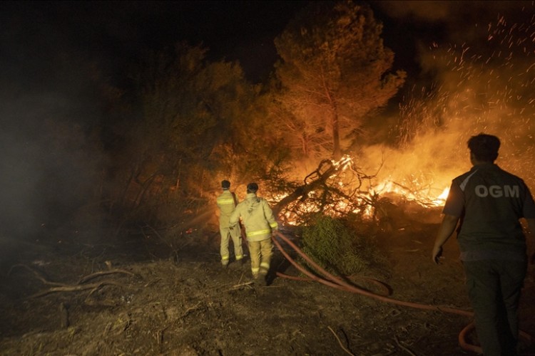Kaş'ta ağaçlandırma sahasında yeniden çıkan yangın seralara sıçradı
