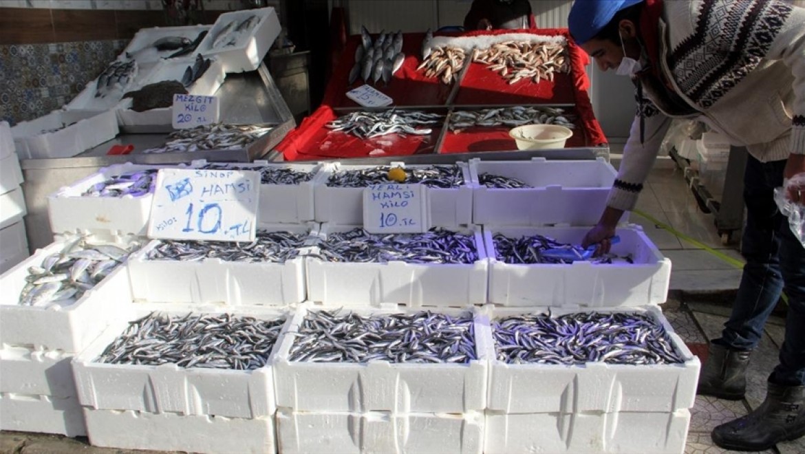 Sinop açıklarındaki hamsi bolluğu balıkçıların yüzünü güldürüyor