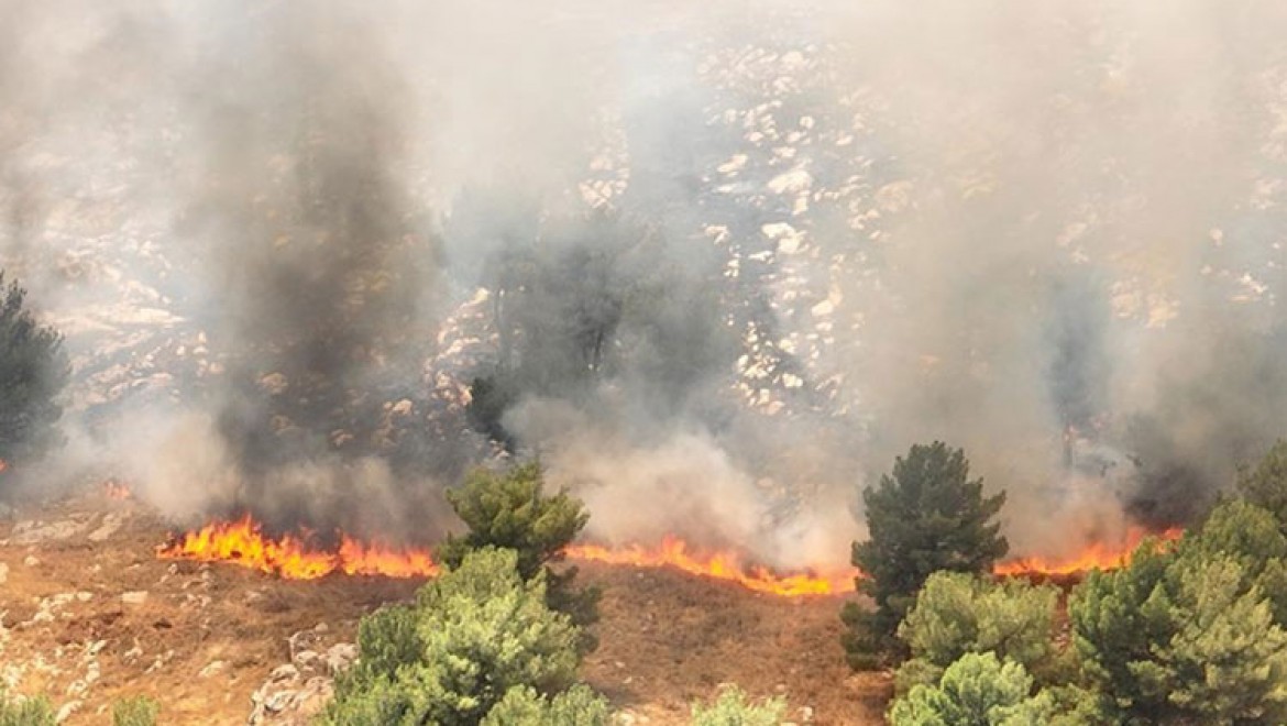 Adıyaman'da ormanlık alanda çıkan yangına müdahale ediliyor