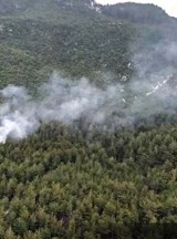Osmaniye'de ormanlık ve örtülük alanda çıkan yangına müdahale ediliyor