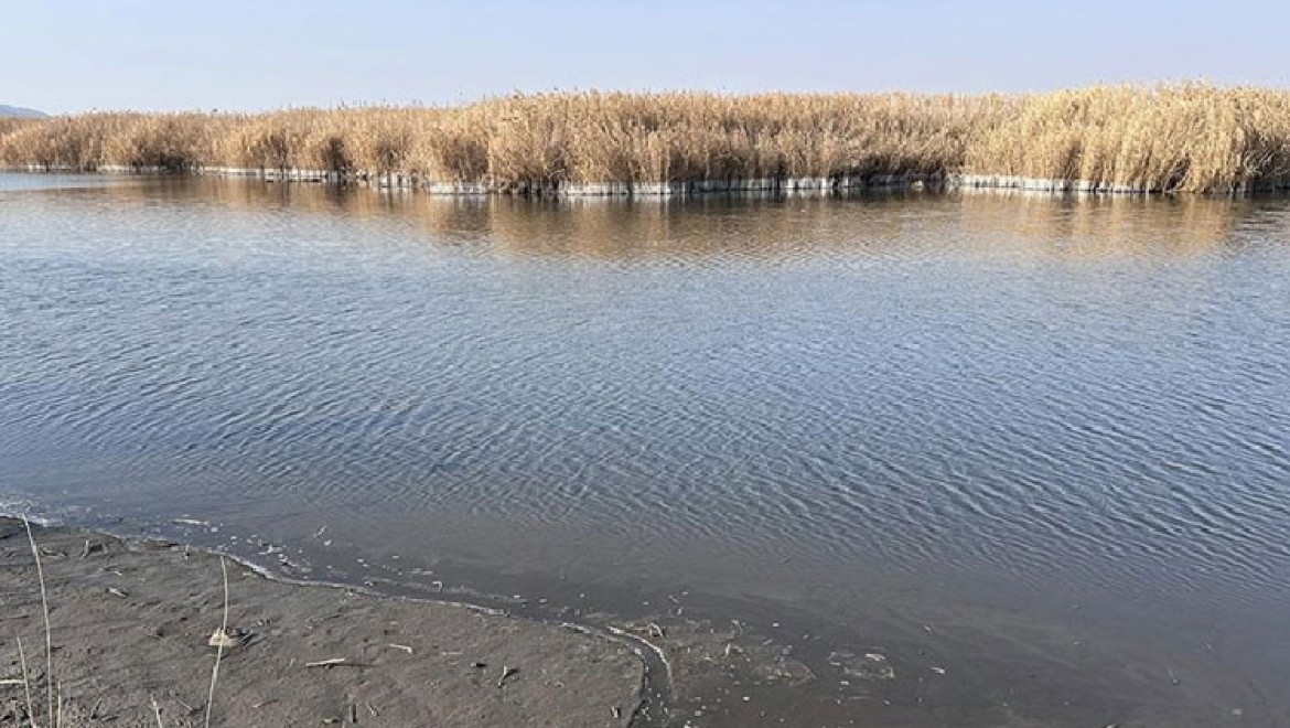 Iğdır'daki Karasu sulak alanında su seviyesi düştü