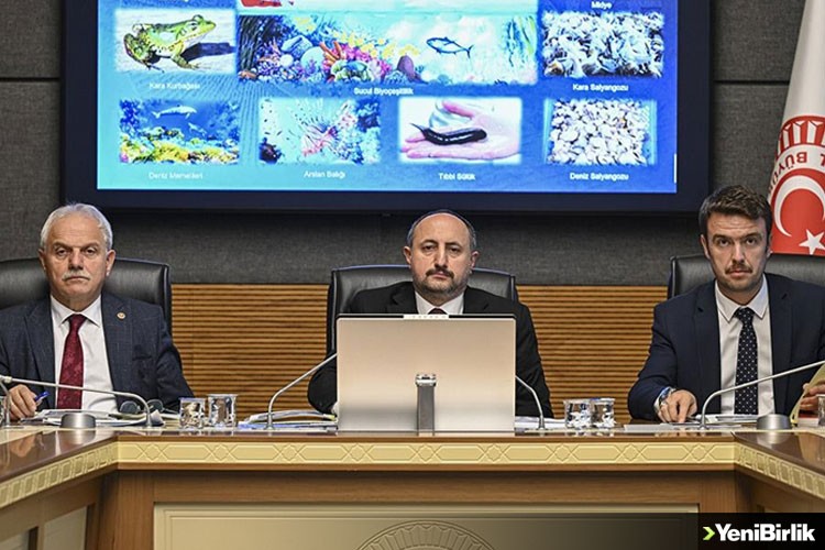 TBMM Balıkçılık ve Su Ürünleri Araştırma Komisyonu sahaya iniyor