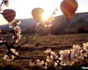 İlkbaharda açan çiçekler Kapadokya'ya renk kattı