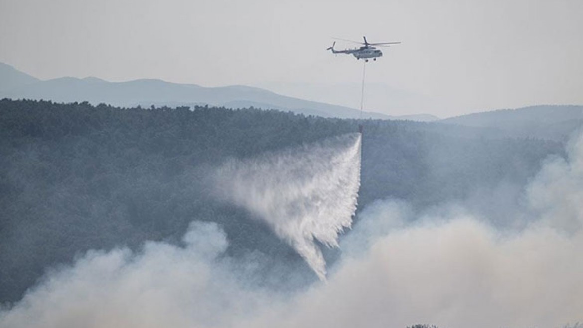 Çanakkale'de iki köy arasında rüzgarla yeniden alevlenen yangına müdahale ediliyor