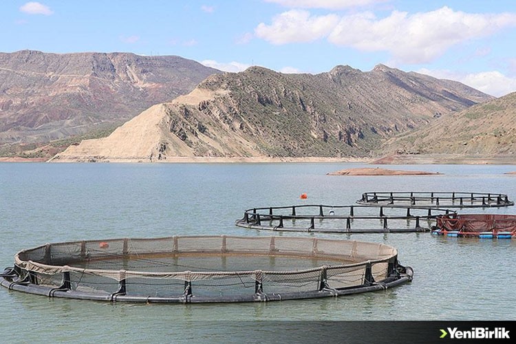 Baraj göllerindeki balık yetiştiriciliğinde ekolojik durum dikkate alınacak