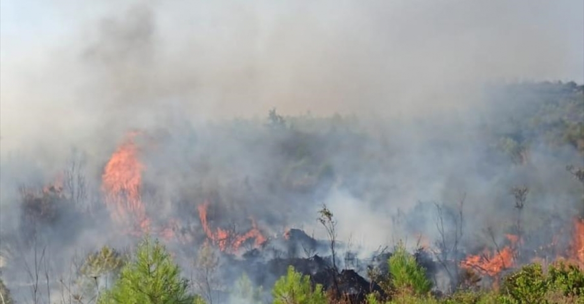 Burdur'da orman yangını çıktı