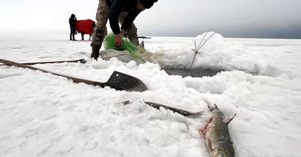 Çıldır Gölü'nde balıkçılar buz altındaki son ağlarını çekiyor