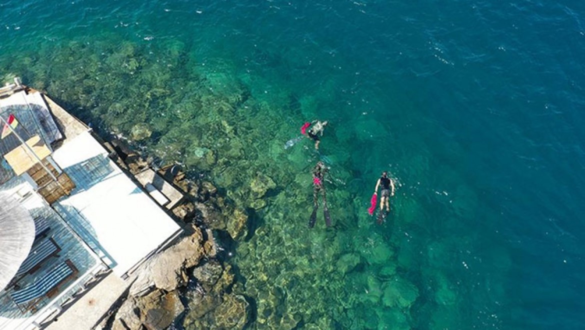 Bodrum'da dalgıçlar deniz dibinden 500 kilogram atık çıkardı