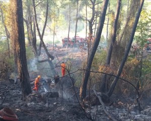 Antalya'da çıkan orman yangını havadan ve karadan müdahaleyle söndürüldü