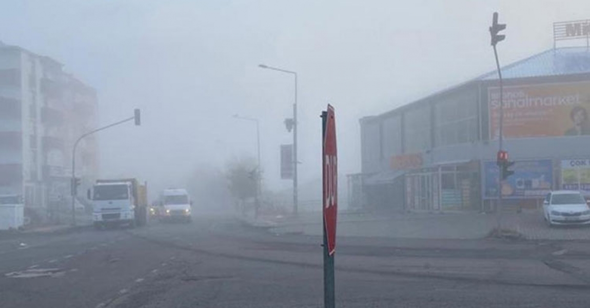 Ardahan'da sis sürücülere zor anlar yaşattı